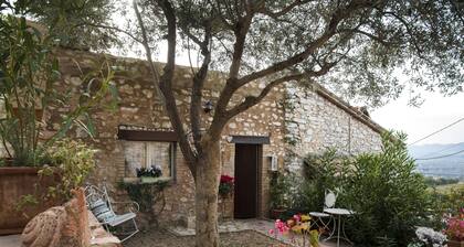 House Near Assisi Perfect for Holidays With Animals