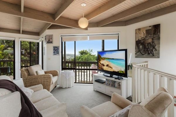 Televisor intel·ligent, reproductor de DVD i llibres