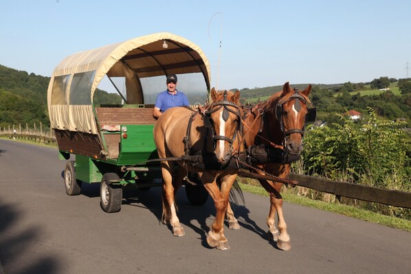 Un chariot couvert tiré par deux chevaux, un homme aux rênes, et un paysage rural.