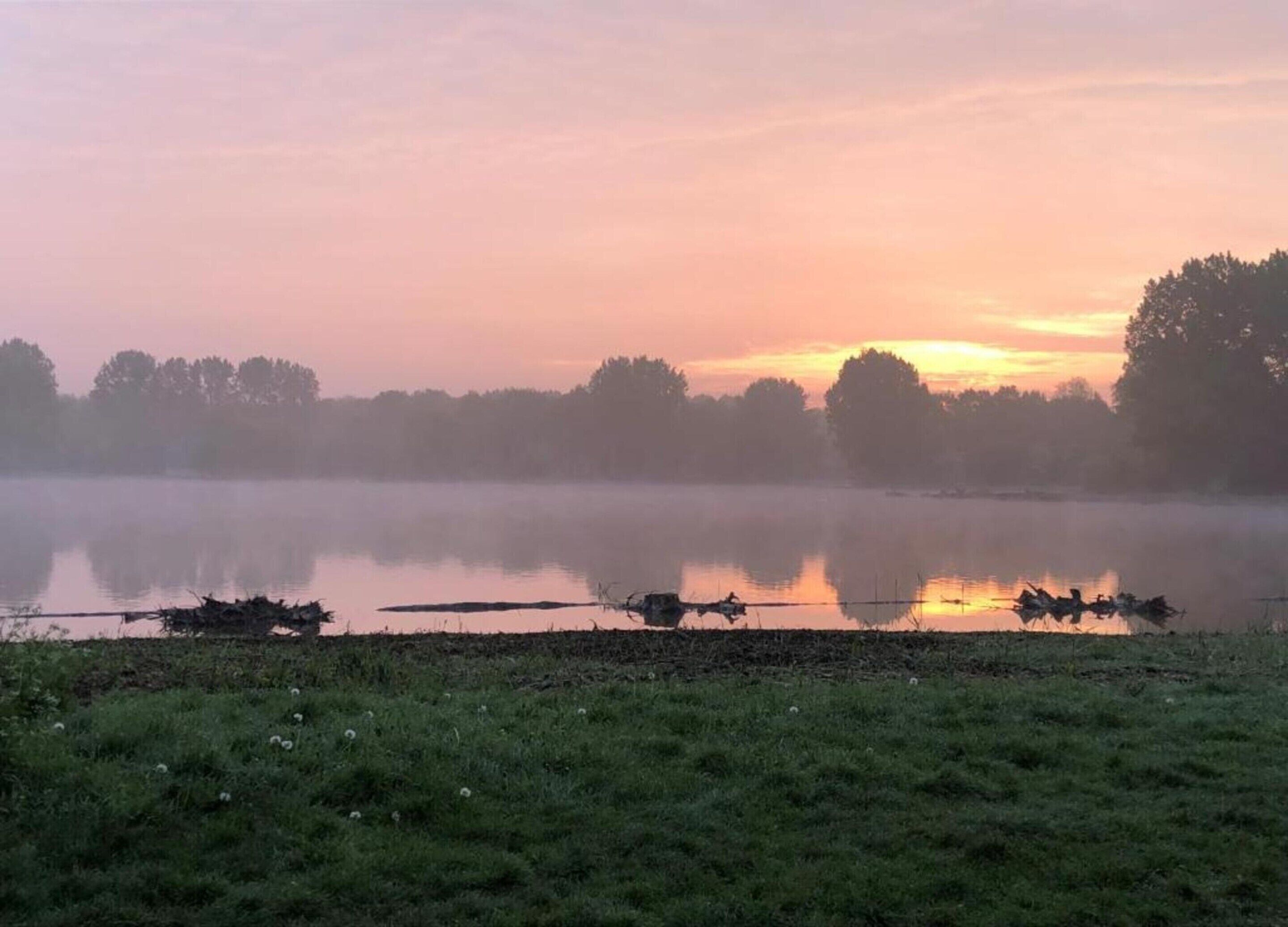 A serene lakeside scene at sunrise with calm water, a grassy foreground, and trees in the background.
