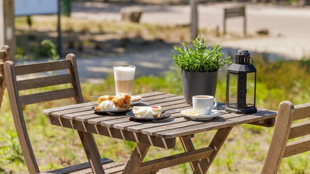 A wooden table with a potted plant, a cup of coffee, a lantern, and a dessert. - Modern Villa Near Veluwe (Hoenderloo)