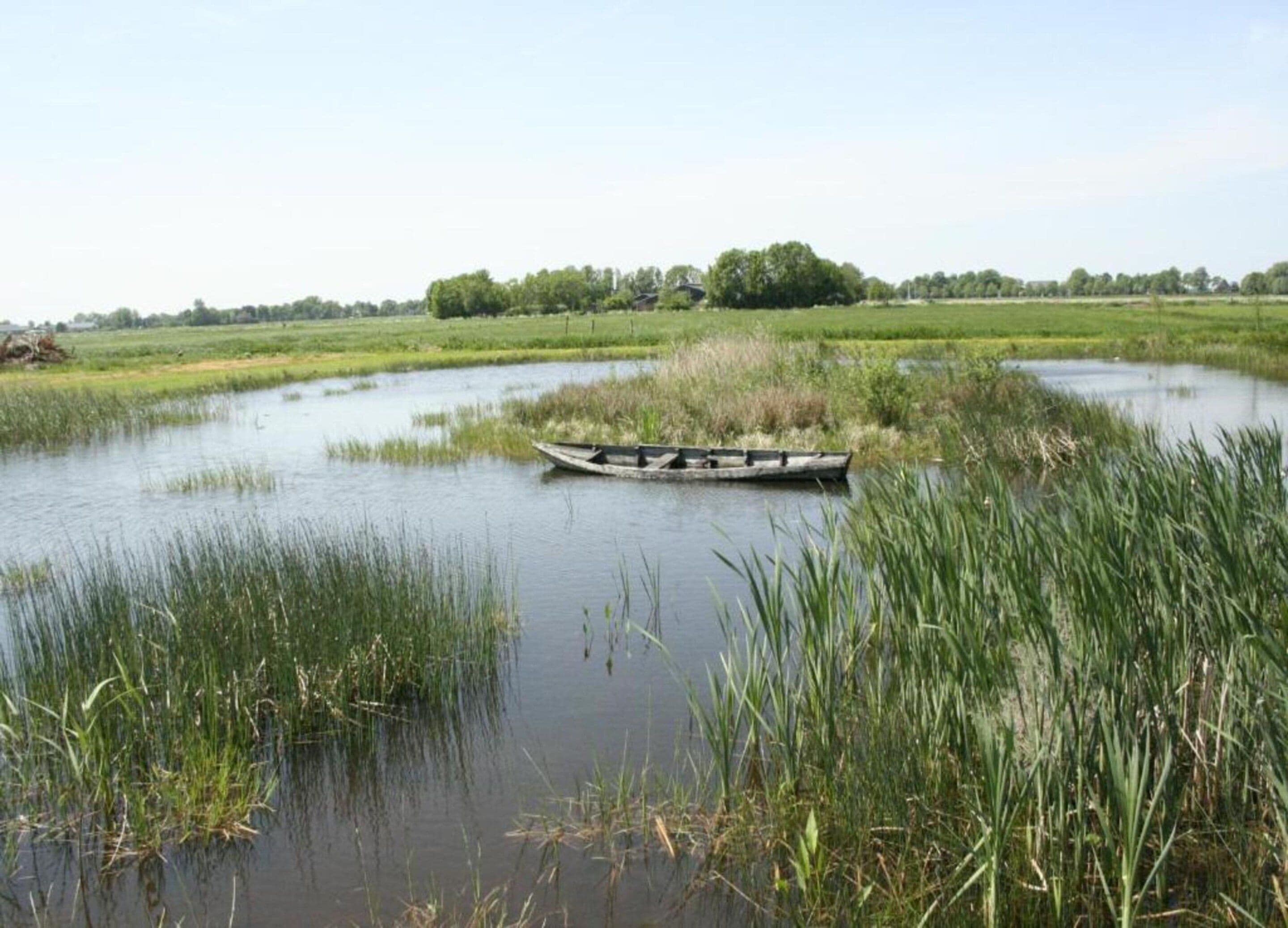 Un bateau sur une rivière paisible, entouré de hautes herbes et avec des arbres en arrière-plan.