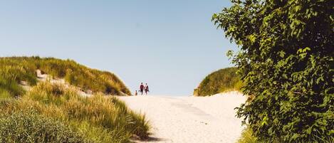 Bungalow | Vue depuis l’hébergement