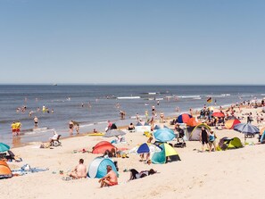 บังกะโล | การตกแต่งภายใน