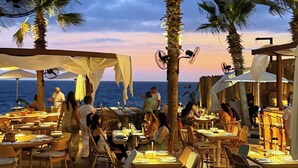 An outdoor dining area with tables and chairs, palm trees, and a view of the sea.