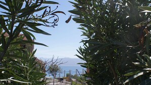 A pathway lined with green foliage, leading to a terrace with a view of the sea and mountains. - Facing the sea, 30 m from the beach, luxury villa, air-conditioned  (Serra-di-Ferro)