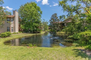 Property grounds - 2br/2ba Walk to pier/village area.  1/2 mile to beach (Saint Simons Island)