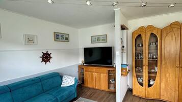 Smart-TV, Bücher, Videothek, Computerbildschirme