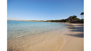 A beach with clear water, sandy shore, and trees in the background.