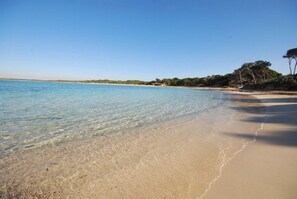 Una playa con agua cristalina, orilla de arena y árboles al fondo.