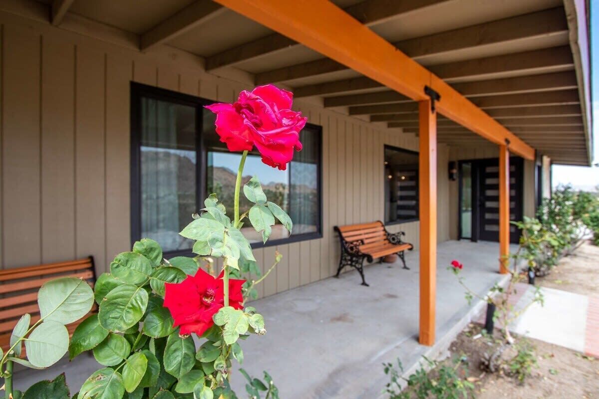 A building with a covered porch, a bench, and a rose bush.