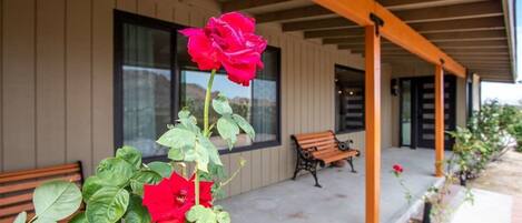A building with a covered porch, a bench, and a rose bush.