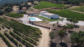 Exterior - Farmhouse Tenuta Paltusa (CALANGIANUS)