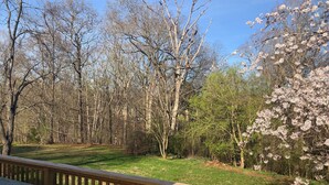 Une terrasse offrant une vue sur un espace verdoyant et des arbres, dont certains sont en fleurs.