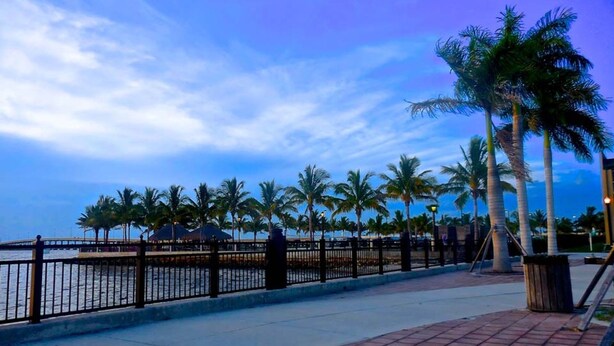 A waterfront promenade with a brick walkway, palm trees, and a metal railing.