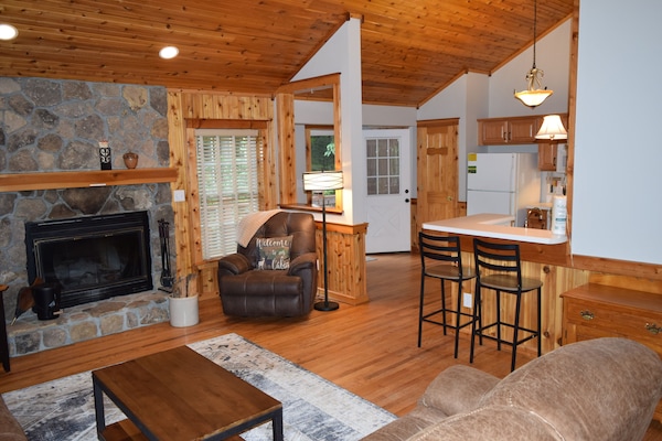 TV connectée, cheminée, lecteur de DVD, table de tennis de table