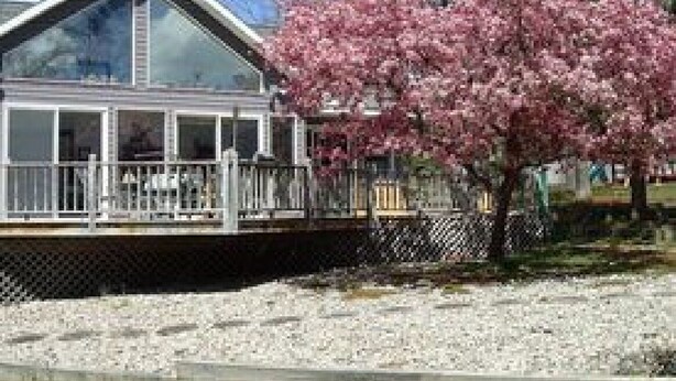 A house with a large glass window, a deck, and a pink flowering tree.