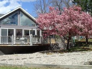 A house with a large glass window, a deck, and a pink flowering tree.