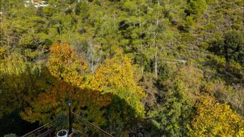 Villa (4 Bedrooms) | Property amenity