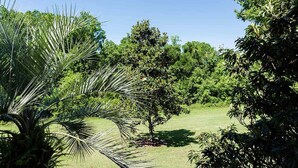 Property grounds - Ultimate 3 Bedroom Condo on Reunion Resort and Spa, Orlando Condo 4592 (Kissimmee)