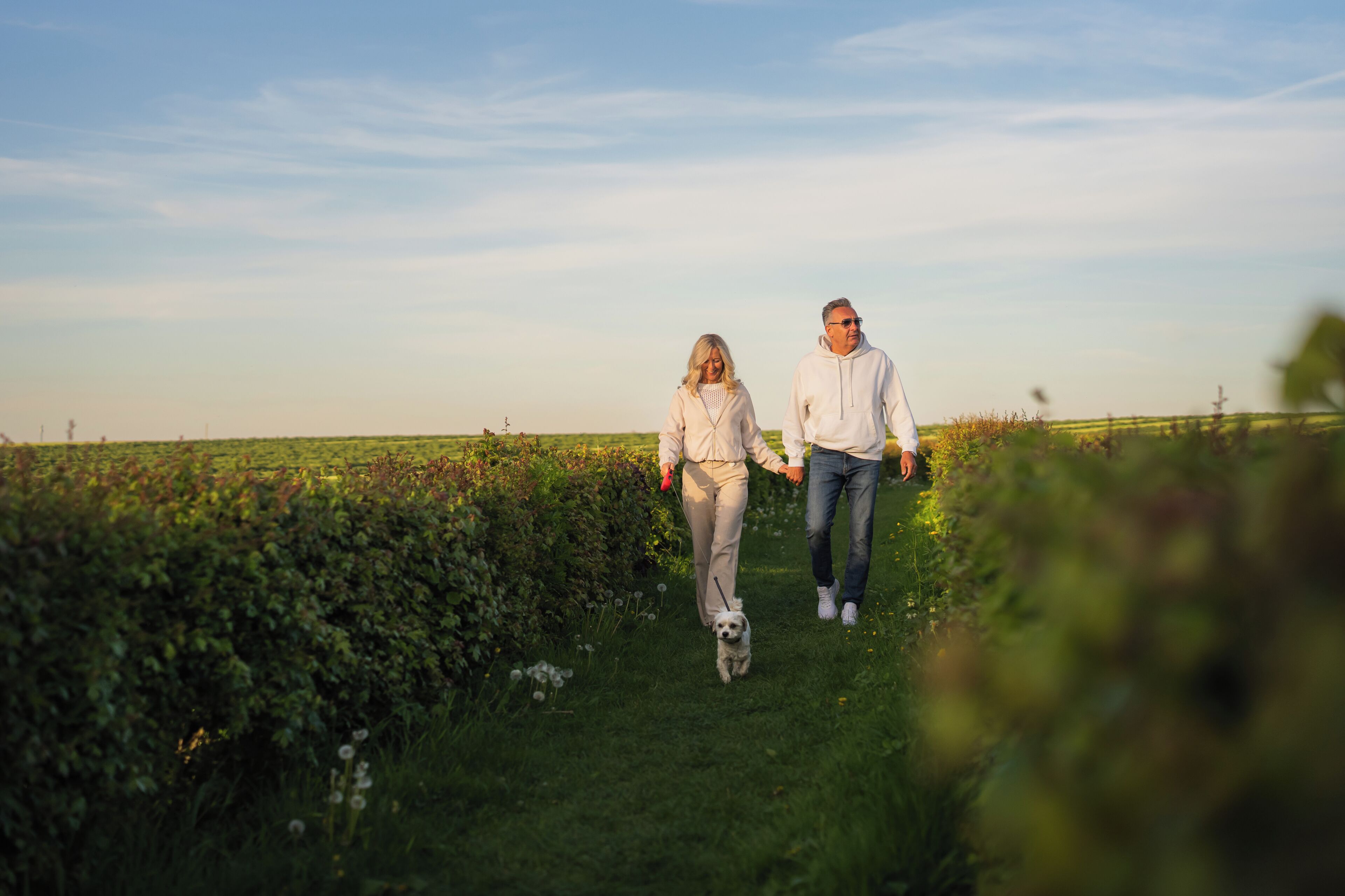 Twee personen wandelen met een hond over een grasveld onder een heldere lucht.