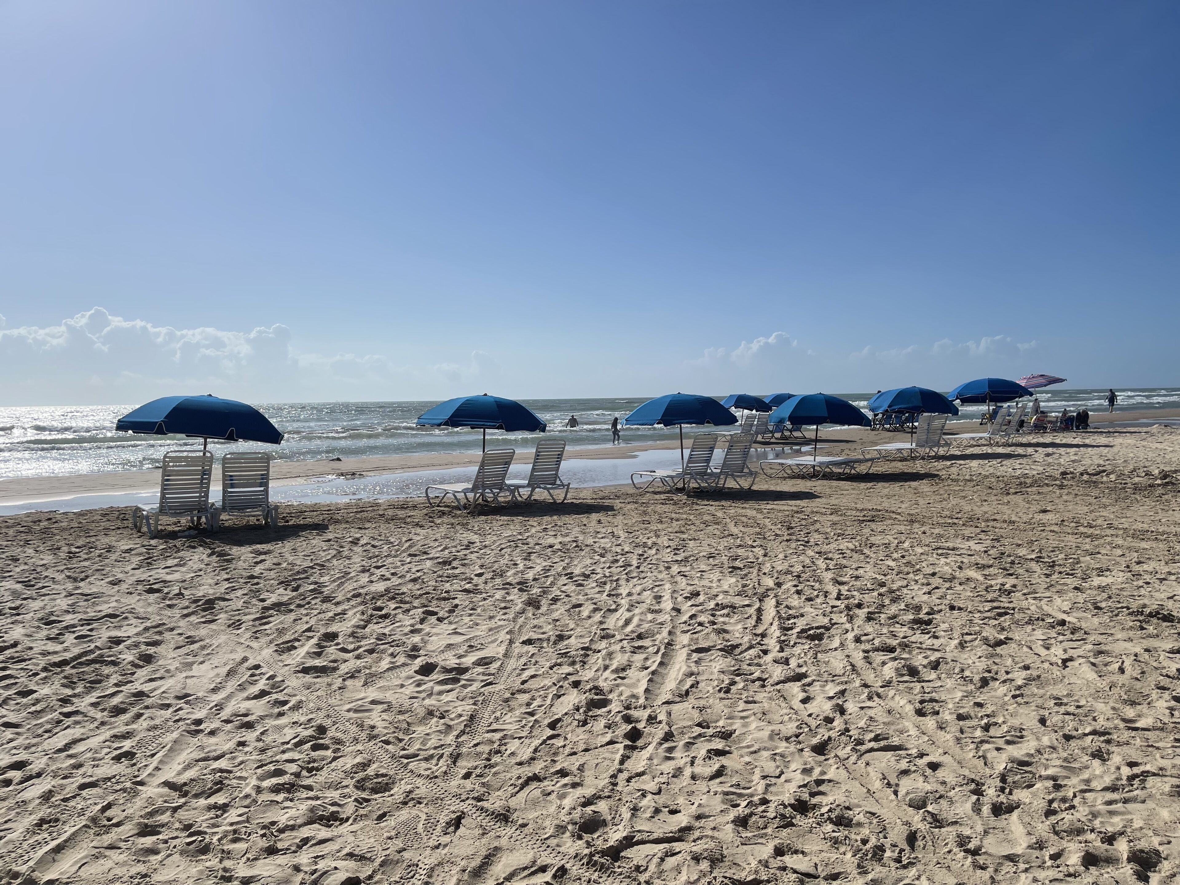 A beach with rows of sun loungers and umbrellas, a clear sky, and the ocean in the background.