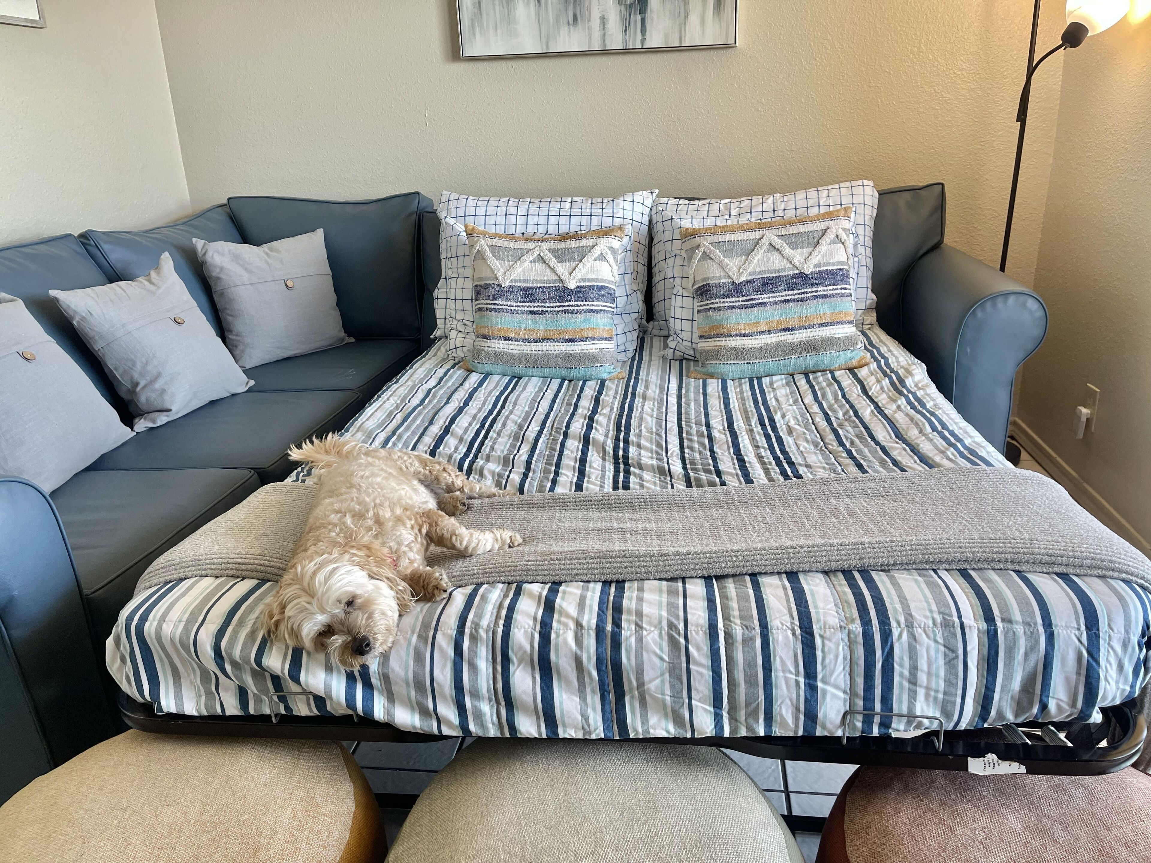 A bed with striped bedding and a dog lying on it.
