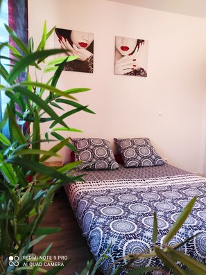 2 chambres, fer et planche Ă repasser, Wi-Fi, draps fournis