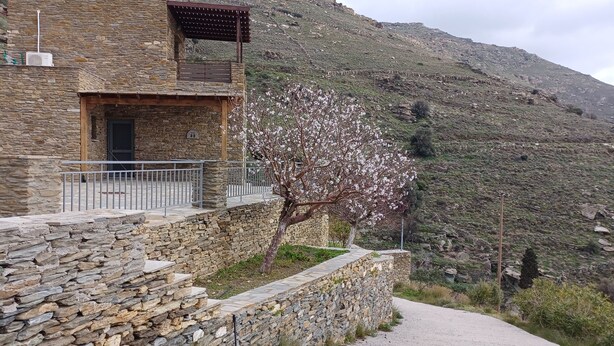 A stone building with a balcony, a tree with white blossoms, and a mountainous backdrop.