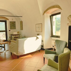 Smart TV, fireplace, books, computer monitors