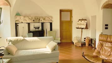 Smart TV, caminetto, libri, monitor per computer