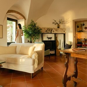 Una Smart TV, una chimenea, libros, una pantalla de ordenador