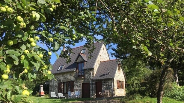 Una casa de piedra con techo inclinado, rodeada de exuberante vegetación y un árbol con frutos verdes.