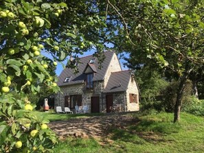 Uma casa de pedra com telhado inclinado, rodeada por vegetação exuberante e uma árvore com frutos verdes.
