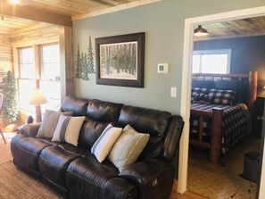 TV, fireplace, DVD player, books