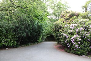 المنطقة المحيطة بالمنشأة