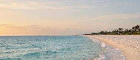Plage à proximité, chaise longue, serviettes de plage