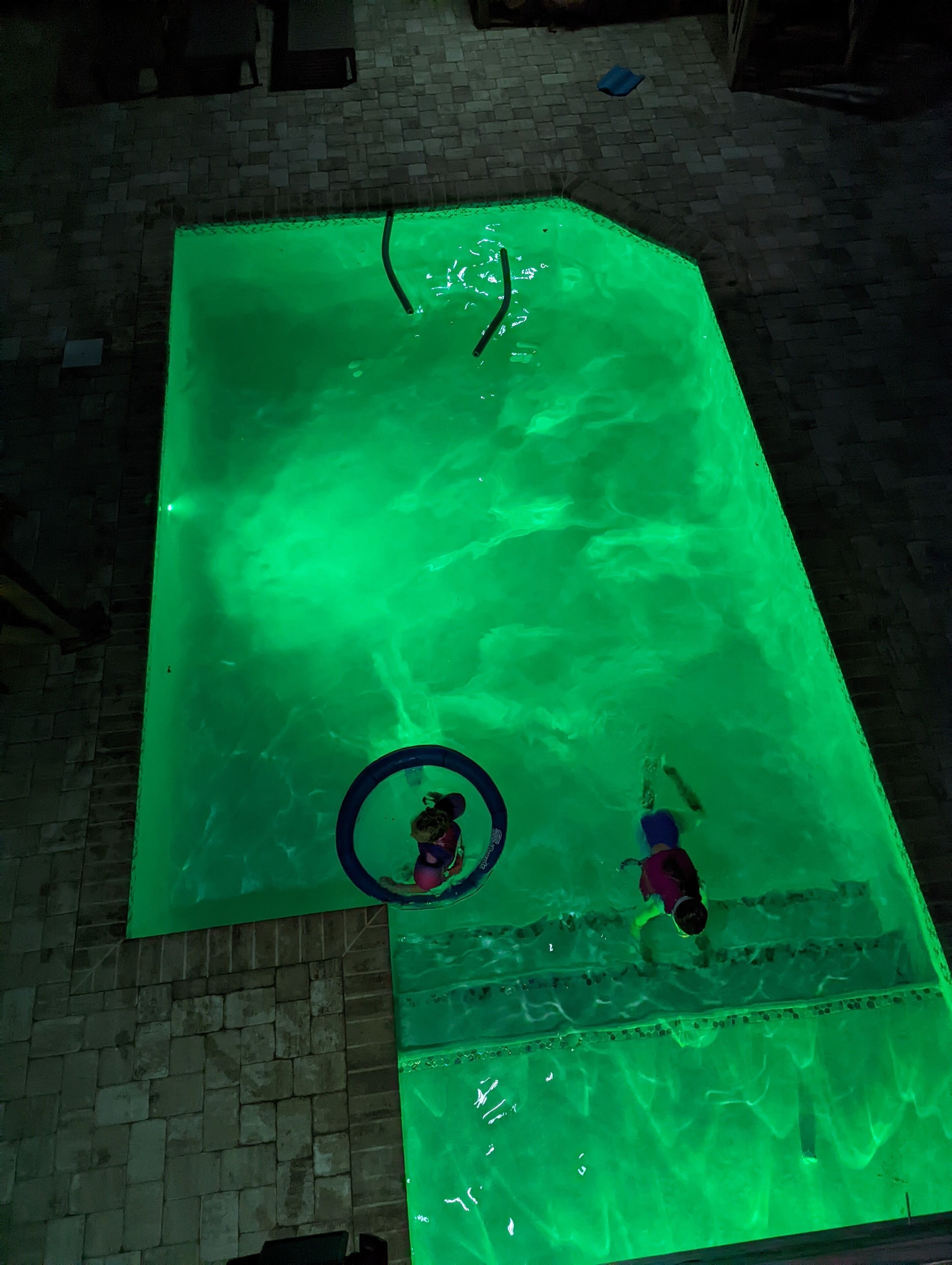 A swimming pool with a green tint, a diving board, and a pool ladder.