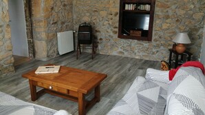 Televisión, chimenea, libros