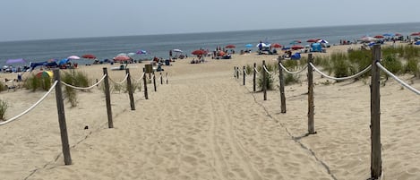 Playa en los alrededores 