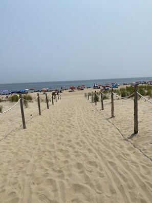 Playa en los alrededores 