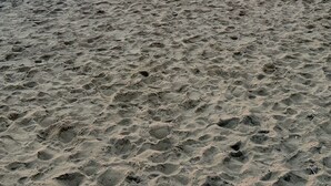 A beach with a sunset, waves, and a person standing on the sand. - Delaware Dreaming (Selbyville)