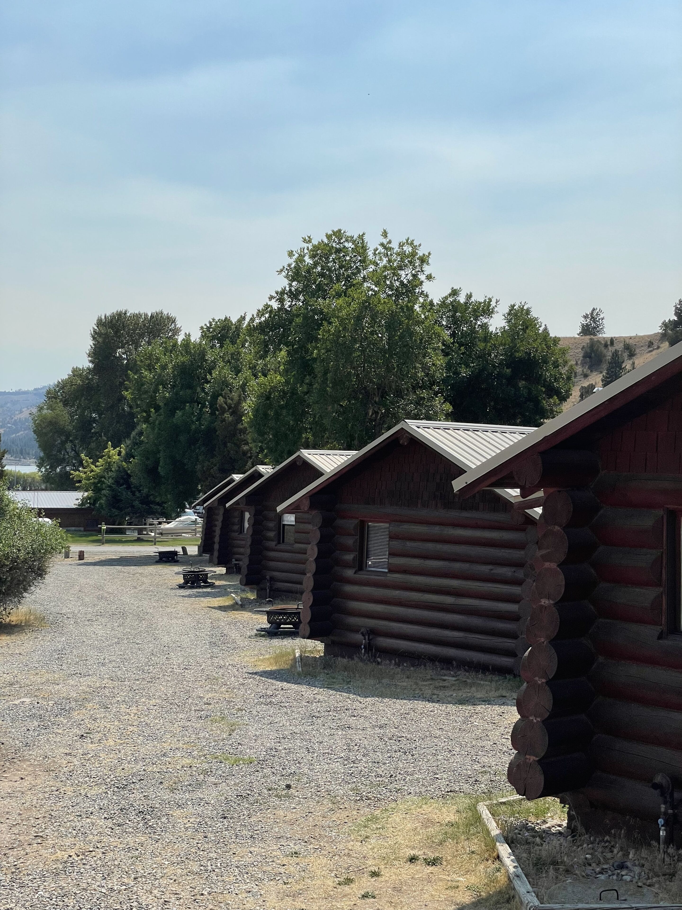 A row of log cabins with gravel paths, surrounded by trees and a clear sky.