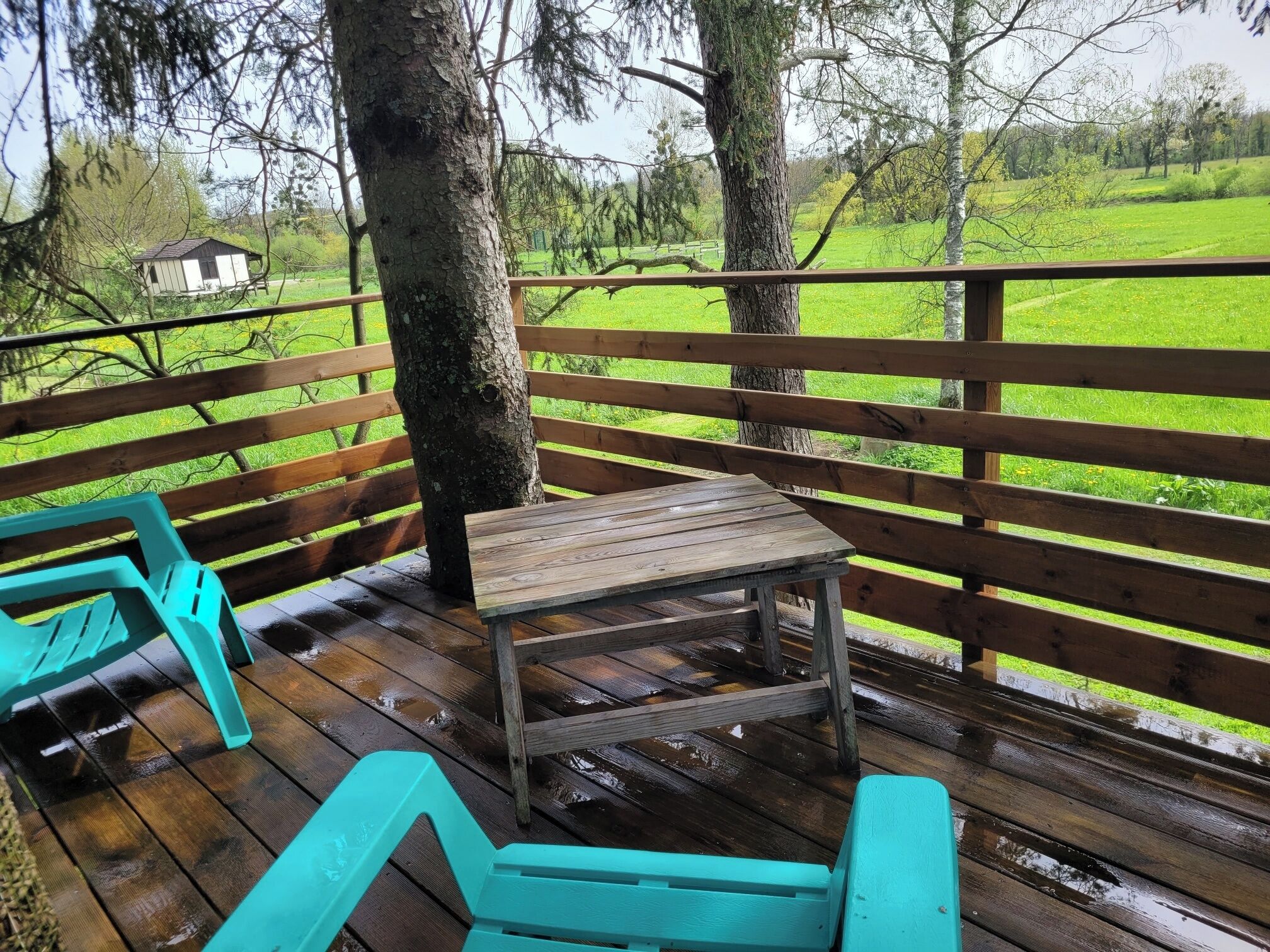 Terrein van de accommodatie