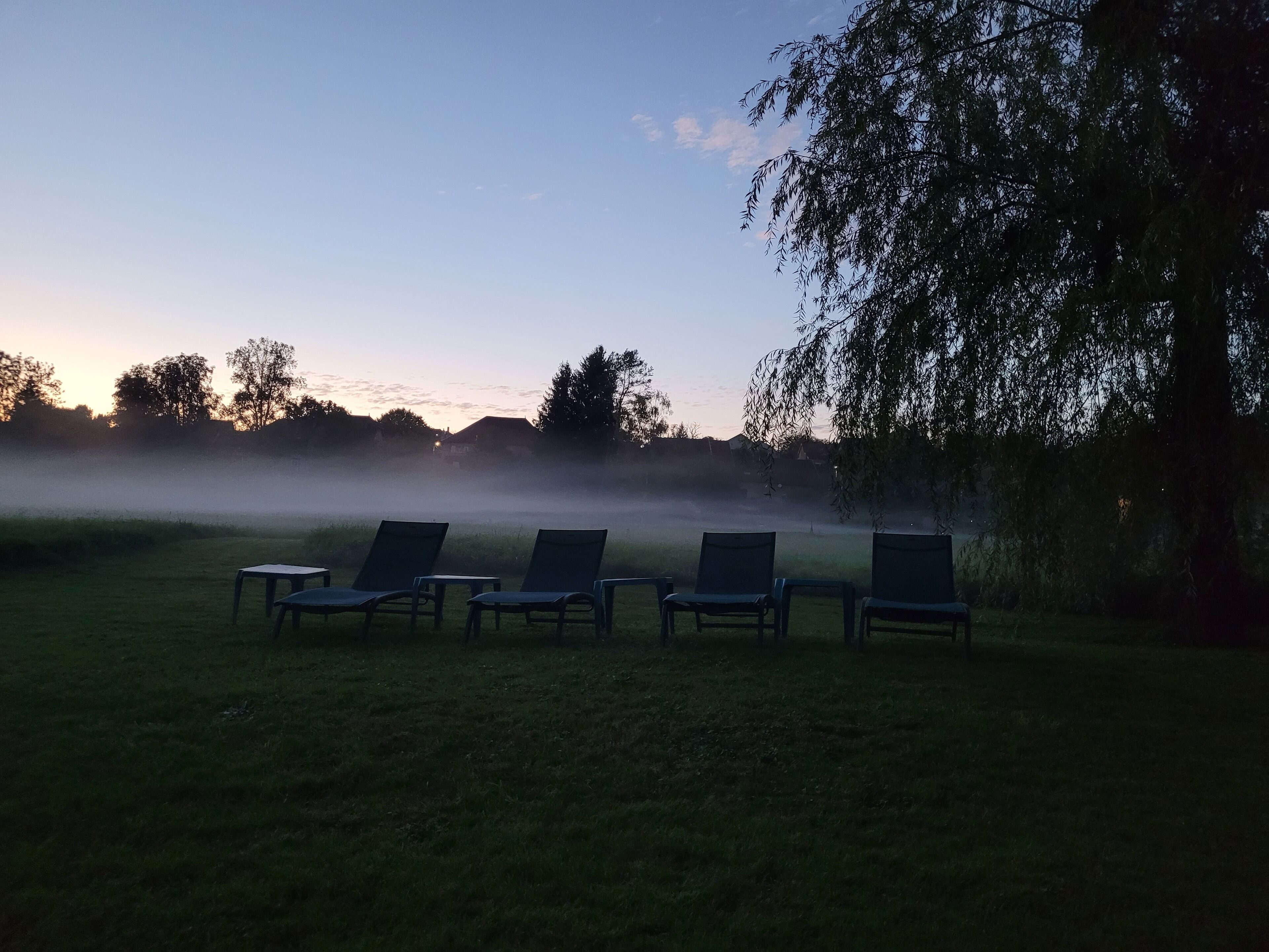 A serene outdoor seating area with four lounge chairs arranged in a row, surrounded by a grassy field and trees.