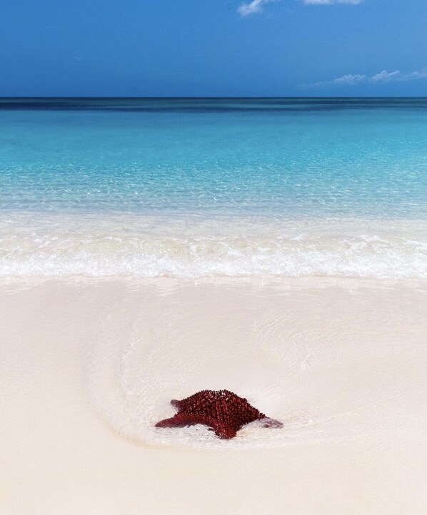 Beach nearby, sun loungers, beach towels