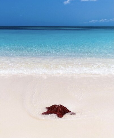 A modern, spacious two storey villa with beautiful in and outdoor living spaces