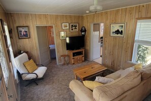 TV, fireplace, books