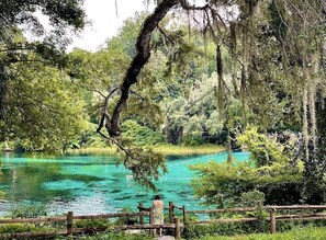 Unclassified image, 2 of 37, button