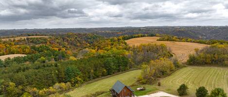 A rural landscape with a house surrounded by fields and trees.